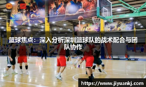 bsports官网入口