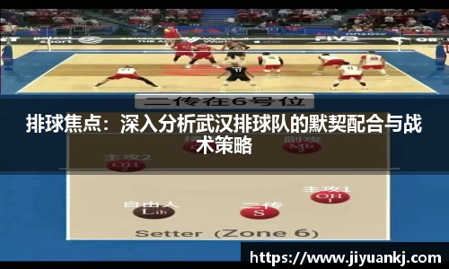 bsports官网入口
