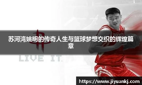 bsports登录入口