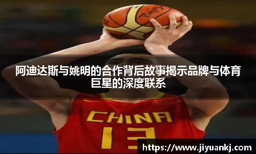 bsports官网入口